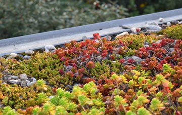 the cost of Leigh Common green roof installation