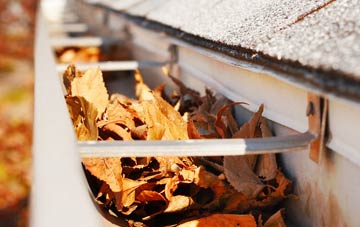 Leigh Common gutter cleaning companies