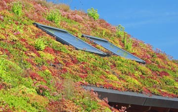 Leigh Common living roof systems